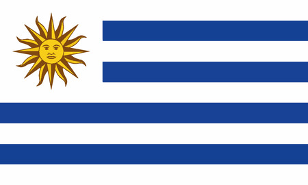 Detailed Illustration National Flag Uruguayのイラスト素材