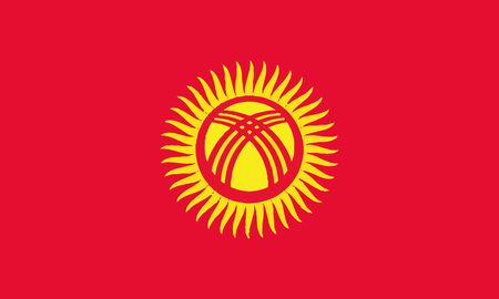 Detailed Illustration National Flag Kyrgyzstanのイラスト素材