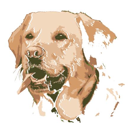 Creative drawing golden retriever. Art inspires people. This drawing of a dog is a great design for the graphic design. Artistically inspired the illustration.のイラスト素材