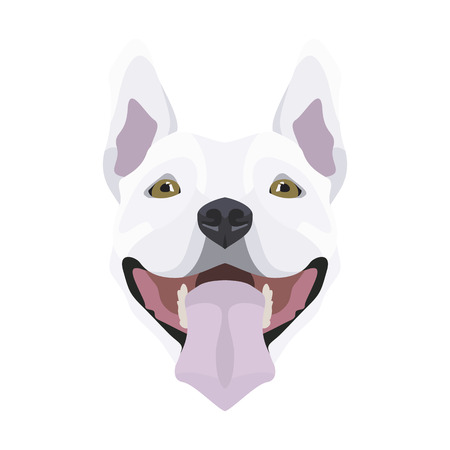 Illustration Bull Terrier | For all Dog owners. What you love about his dog? Puppy dog ââeyes, wagging tail, smiling, barking. The Bull Terrier is a man's best friend.のイラスト素材