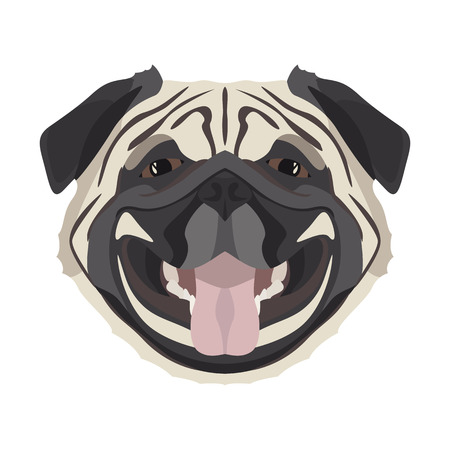 Illustration Pug | For all dog owners. What you love about his dog? Puppy dog ââeyes, wagging tail, smiling, barking. The pug is man's best friend.
のイラスト素材