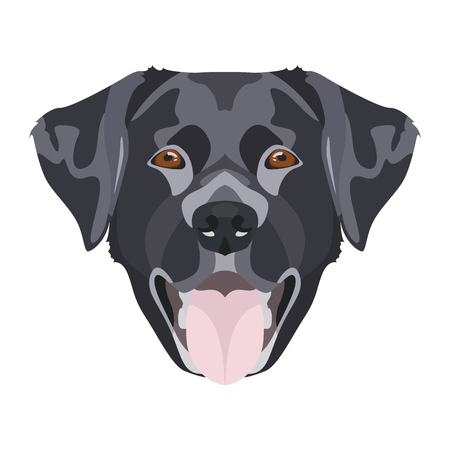 Illustration Labrador | For all Dog owners. What you love about his dog? Puppy dog ââeyes, wagging tail, smiling, barking. The Labrador is man's best friend.
のイラスト素材