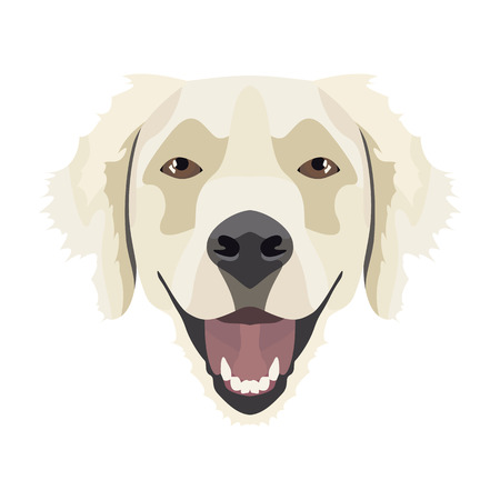 Illustration Golden Retriever | For all Dog owners. What you love about his dog? Puppy dog ââeyes, wagging tail, smiling, barking. The Golden Retriever is a man's best friend.
のイラスト素材
