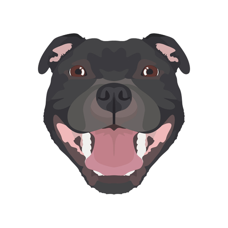 Illustration Staffordshire Bull Terrier | For all dog owners. What you love about his dog? Puppy dog ââeyes, wagging tail, smiling, barking. The Staffordshire Bull Terrier is a man's best friend.のイラスト素材