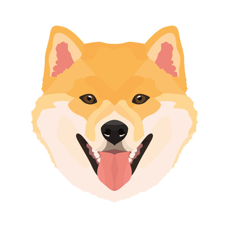 Illustration Shiba Inu | For all dog owners. What you love about his dog? Puppy dog ââeyes, wagging tail, smiling, barking. The Shiba Inu is a man's best friend.のイラスト素材