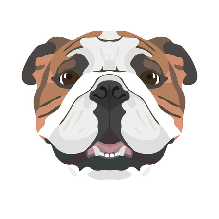 Illustration English Bulldog | For all Dog owners. What you love about his dog? Puppy dog ââeyes, wagging tail, smiling, barking. The English bulldog is man's best friend.
のイラスト素材