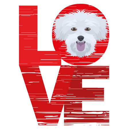 Love Maltese - A dog's head with the word love. The dog is man's best friend and is loved as a pet.のイラスト素材