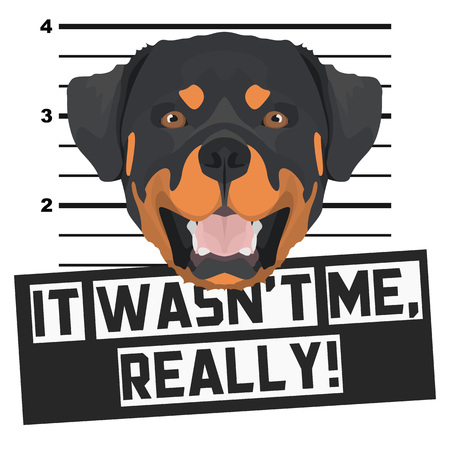 Illustration Mugshot Rottweiler - The guilty dog ââgets a police photo. Dog lovers and dog fans love them sassy dog.のイラスト素材