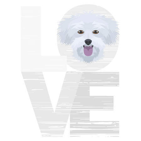 Love Maltese - A dog's head with the word love. The dog is man's best friend and is loved as a pet.のイラスト素材