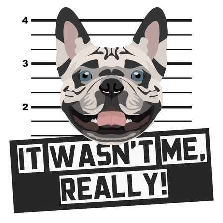 Illustration Mugshot French Bulldog - The guilty dog ââgets a police photo. Dog lovers and dog fans love them sassy dog.のイラスト素材