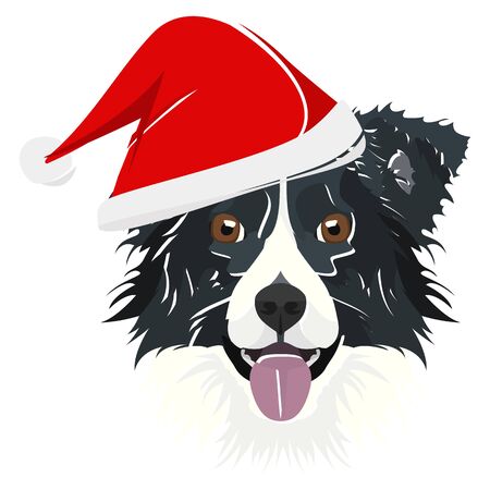 Border Collie with Santa Hat - This cheerful dog is properly contemplative through his Santa hat. A Christmas motive for dog owners.のイラスト素材