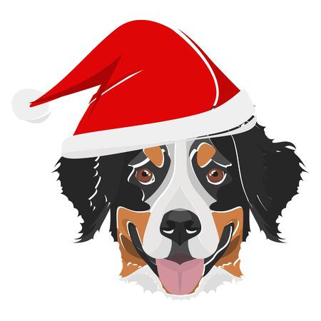 Bernese Mountain Dog with Santa Hat - This cheerful dog is properly contemplative through his Santa hat. A Christmas motive for dog owners.のイラスト素材