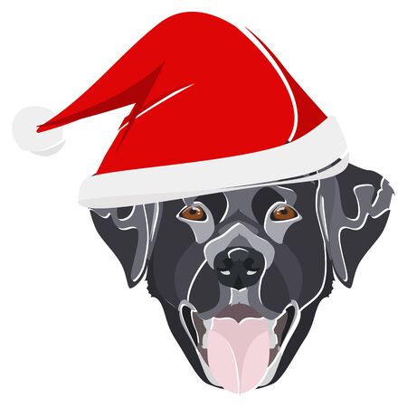 Labrador with Santa Hat - This cheerful dog is properly contemplative through his Santa hat. A Christmas motive for dog owners.のイラスト素材