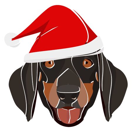 Dachshund with Santa hat - This cheerful dog is properly contemplative through his Santa hat. A Christmas motive for dog owners.
のイラスト素材