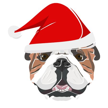 English Bulldog with Santa Hat - This cheerful dog is properly contemplative through his Santa hat. A Christmas motive for dog owners.のイラスト素材