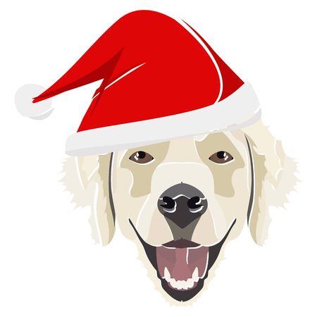 Golden Retriever with Santa Hat - This cheerful dog is properly contemplative through his Santa hat. A Christmas motive for dog owners.
のイラスト素材