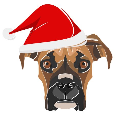 Boxer with Santa Hat - This cheerful dog is properly contemplative through his Santa hat. A Christmas motive for dog owners.
のイラスト素材