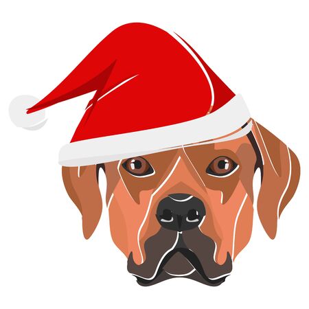 Rhodesian Ridgeback with Santa Hat - This cheerful dog is properly contemplative through his Santa hat. A Christmas motive for dog owners.のイラスト素材