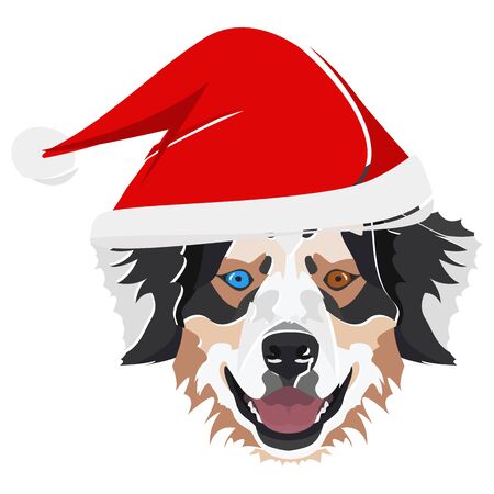 Australian Shepherd with Santa Hat - This cheerful dog is properly contemplative through his Santa hat. A Christmas motive for dog owners.のイラスト素材