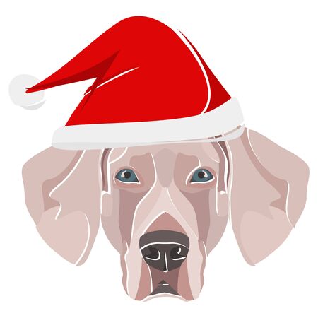 Weimaraner with Christmas hat - This cheerful dog is properly contemplative through his Santa hat. A Christmas motive for dog owners.
のイラスト素材