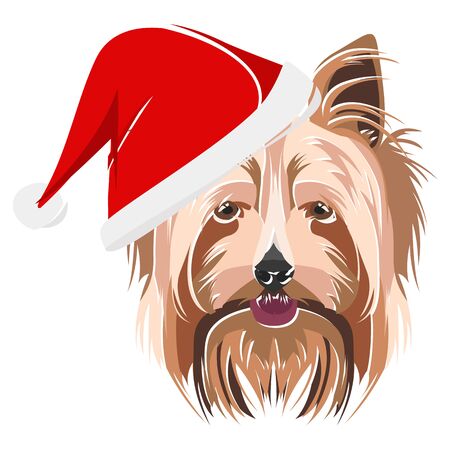 Yorkshire Terrier with Santa Hat - This cheerful dog is properly contemplative through his Santa hat. A Christmas motive for dog owners.のイラスト素材