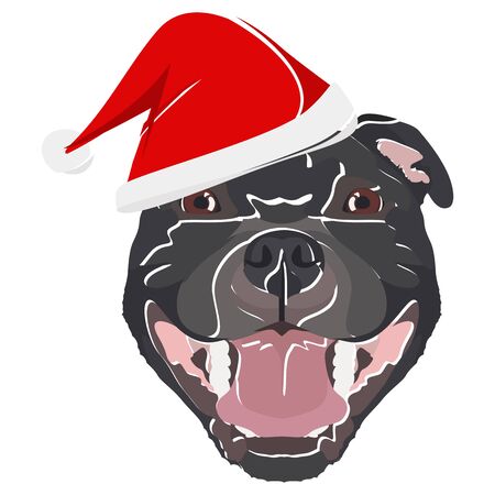 Staffordshire Bull Terrier with Santa Hat - This cheerful dog is properly contemplative through his Santa hat. A Christmas motive for dog owners.
のイラスト素材