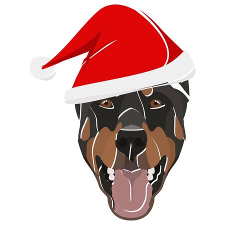 Doberman with Santa Hat - This cheerful dog is properly contemplative through his Santa hat. A Christmas motive for dog owners.
のイラスト素材