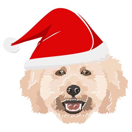 Poodle with Christmas hat - This cheerful dog is properly contemplative through his Santa hat. A Christmas motive for dog owners.
のイラスト素材