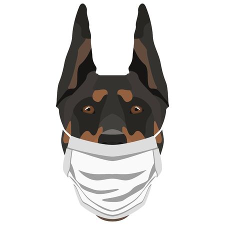 Illustration of a doberman with a respirator. At this time of the pandemic, the design is a nice graphic for fans of dogs.のイラスト素材