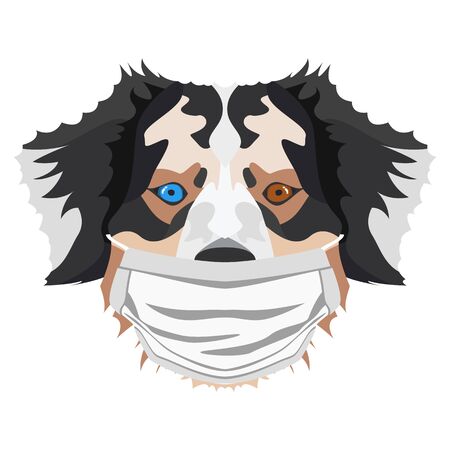 Illustration of an Australian Shepherd wearing a respirator. At this time of the pandemic, the design is a nice graphic for fans of dogs.のイラスト素材