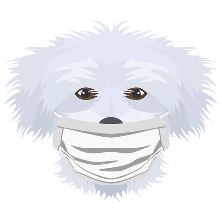 Illustration of a Maltese with a respirator. At this time of the pandemic, the design is a nice graphic for fans of dogs.のイラスト素材