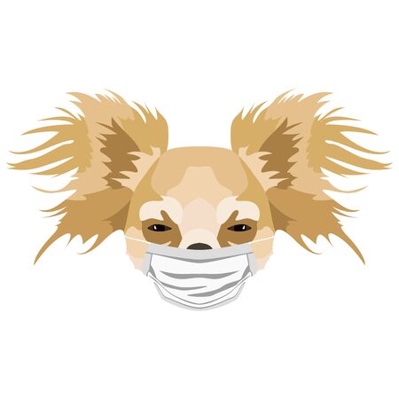 Illustration of a chihuahua with respirator. At this time of the pandemic, the design is a nice graphic for fans of dogs.のイラスト素材