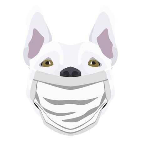 Illustration of a bull terrier wearing a respirator. At this time of the pandemic, the design is a nice graphic for fans of dogs.のイラスト素材