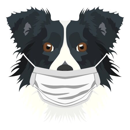 Illustration of a border collie with respirator. At this time of the pandemic, the design is a nice graphic for fans of dogs.のイラスト素材