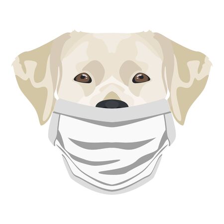 Illustration of a labrador with respirator. At this time of the pandemic, the design is a nice graphic for fans of dogs.のイラスト素材