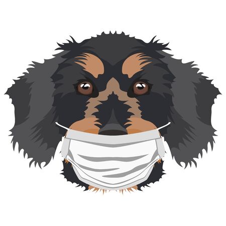 Illustration of a wire-haired dachshund with a respirator. At this time of the pandemic, the design is a nice graphic for fans of dogs.のイラスト素材
