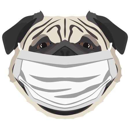 Illustration of a pug with a respirator. At this time of the pandemic, the design is a nice graphic for fans of dogs.のイラスト素材