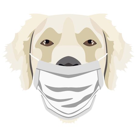 Illustration of a golden retriever with respirator. At this time of the pandemic, the design is a nice graphic for fans of dogs.のイラスト素材