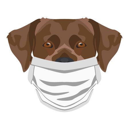 Illustration of a labrador with respirator. At this time of the pandemic, the design is a nice graphic for fans of dogs.のイラスト素材