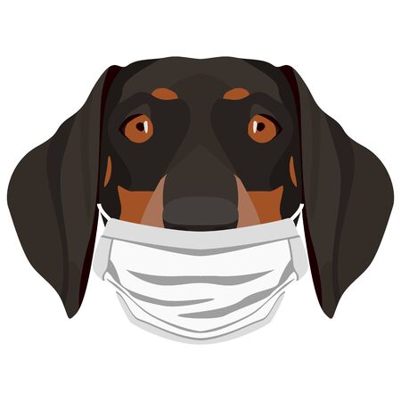 Illustration of a Dachshund with a respirator. At this time of the pandemic, the design is a nice graphic for fans of dogs.のイラスト素材