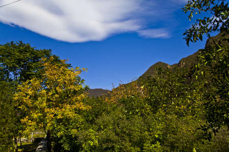 Slopes under the blue skyの写真素材