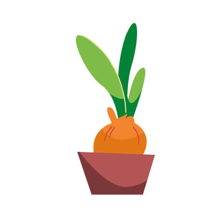 Tulip bulb in a pot. Gardening in the spring. Vector illustration in cartoon style. Isolated clipart on white backgroundのイラスト素材