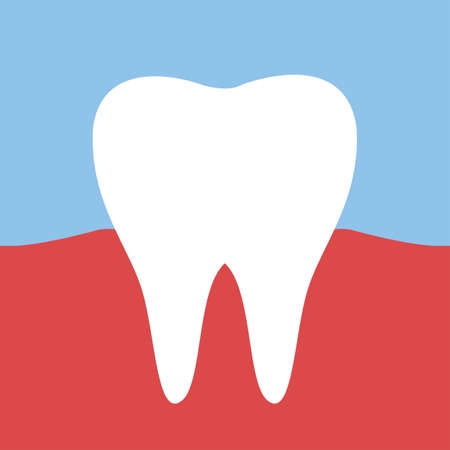 The tooth is white healthy. The concept of healthy proper oral care. Dentistry and veneers. Vector illustration in cartoon style. Cute printのイラスト素材