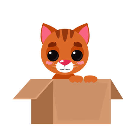 Open cardboard box package with a cute red fluffy cat inside. Vector illustration in cartoon flat style. Cute printのイラスト素材