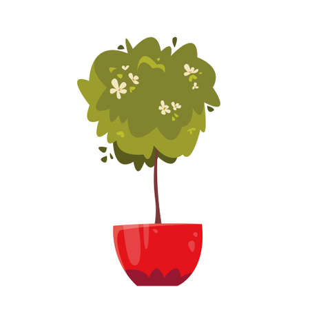 A flower bush on a thin trunk in a pot. Home plants. Gardening at home. Vector illustration in cartoon children s style. Isolated funny clipart on a white background.のイラスト素材
