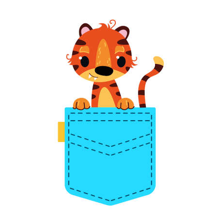 A cute tiger cub sits in a blue pocket. A striped baby tiger peeps out of his pocket. Vector illustration in cartoon style for children. Isolated funny character. Clipart on a white backgroundのイラスト素材