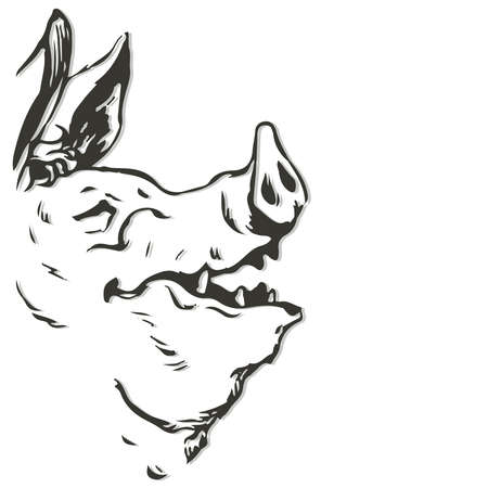 The pig is drawn in the style of a graphic book illustration. Pig profile. On a white background. Coloring page bookのイラスト素材