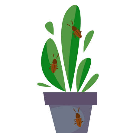 Infected home plant. The pest creeps on a flower. Vector illustration of a flat styleのイラスト素材
