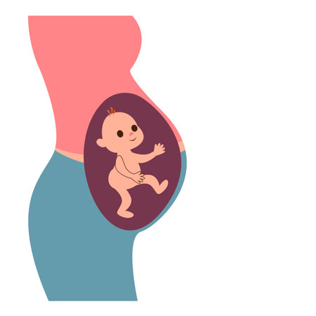 Profile of a pregnant woman inside which the baby is visible. X-ray of a pregnant belly. Cartoon character. Maternity hospital medical logo. Vaccination of a pregnant woman from covidのイラスト素材