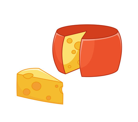 Holland cheese set, head and triangular piece of cheese with holes. Vector illustration of dairy products in cartoon childish style. Isolated funny clipart on white background. cute printのイラスト素材